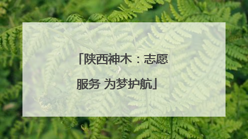 陕西神木：志愿服务 为梦护航